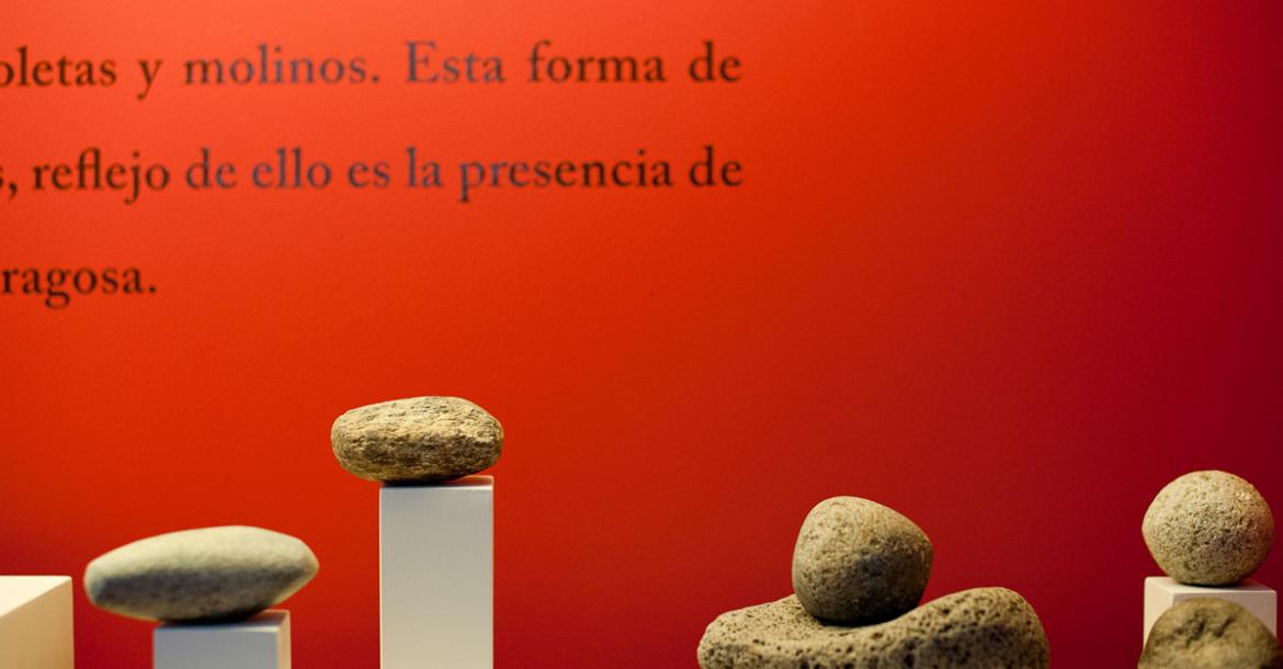 Detalle de la sala: Prehistoria